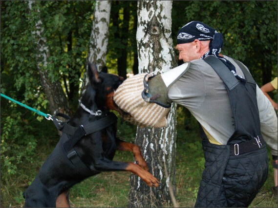 Summer training camp - Jelenec - 2007